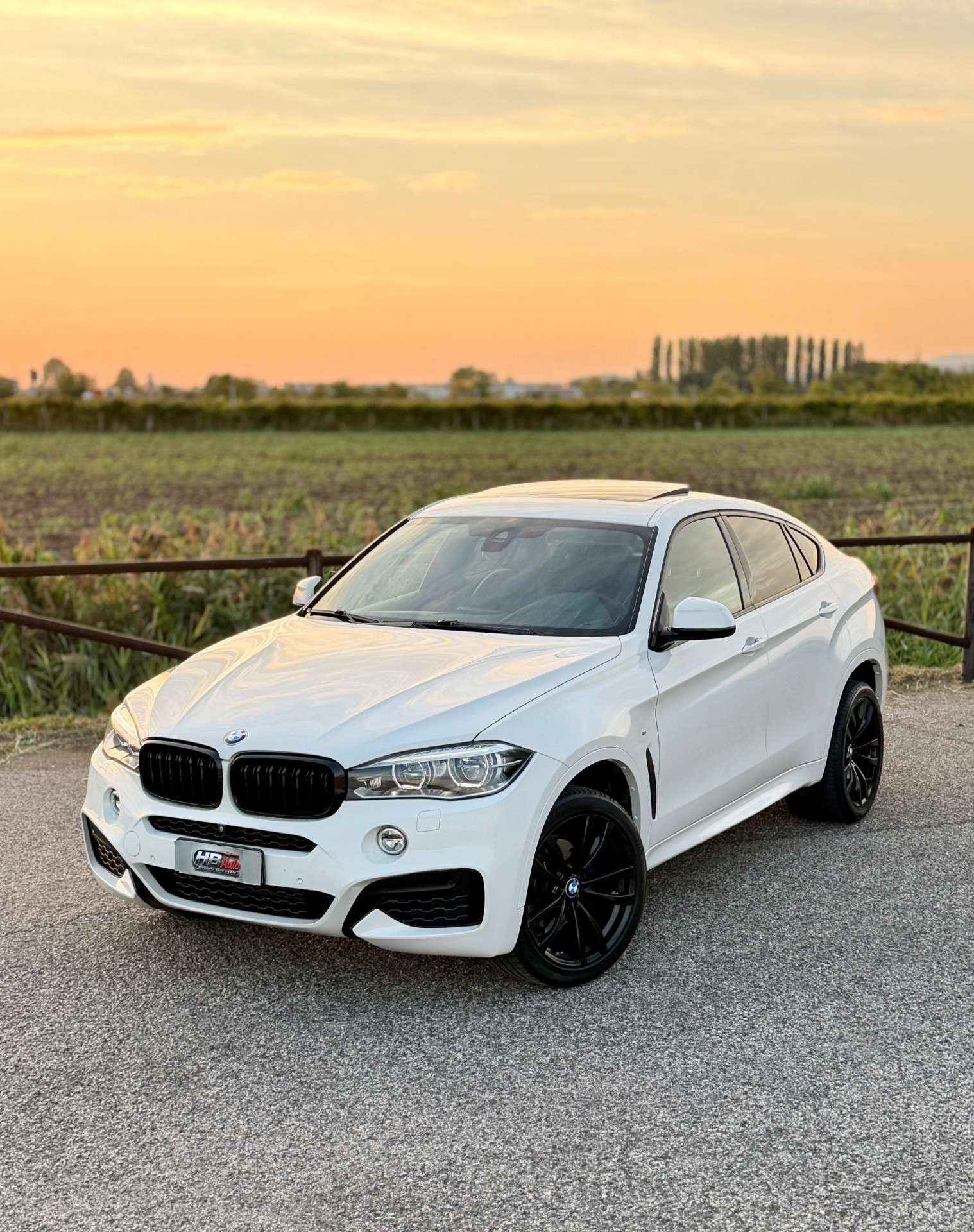Bmw X6 xDrive30d 258CV Msport foto 8